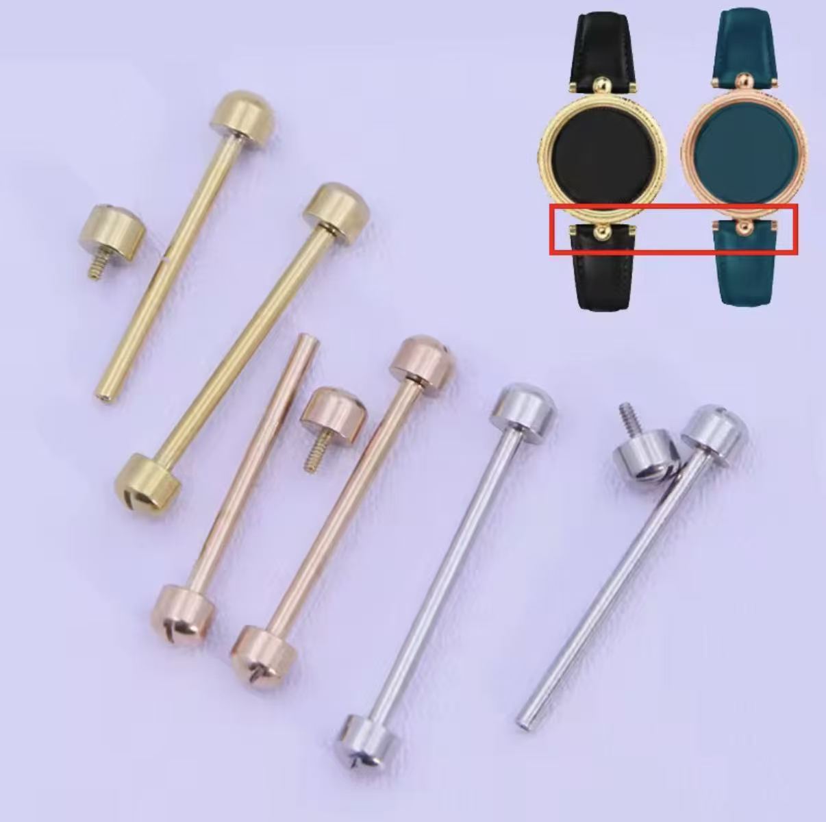 Kit di attrezzi per la riparaz - Spring Bar Tool recensione e prezzo